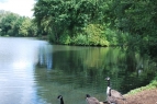 Yateley South Lake