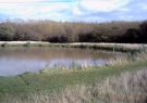 Yew Tree Fisheries